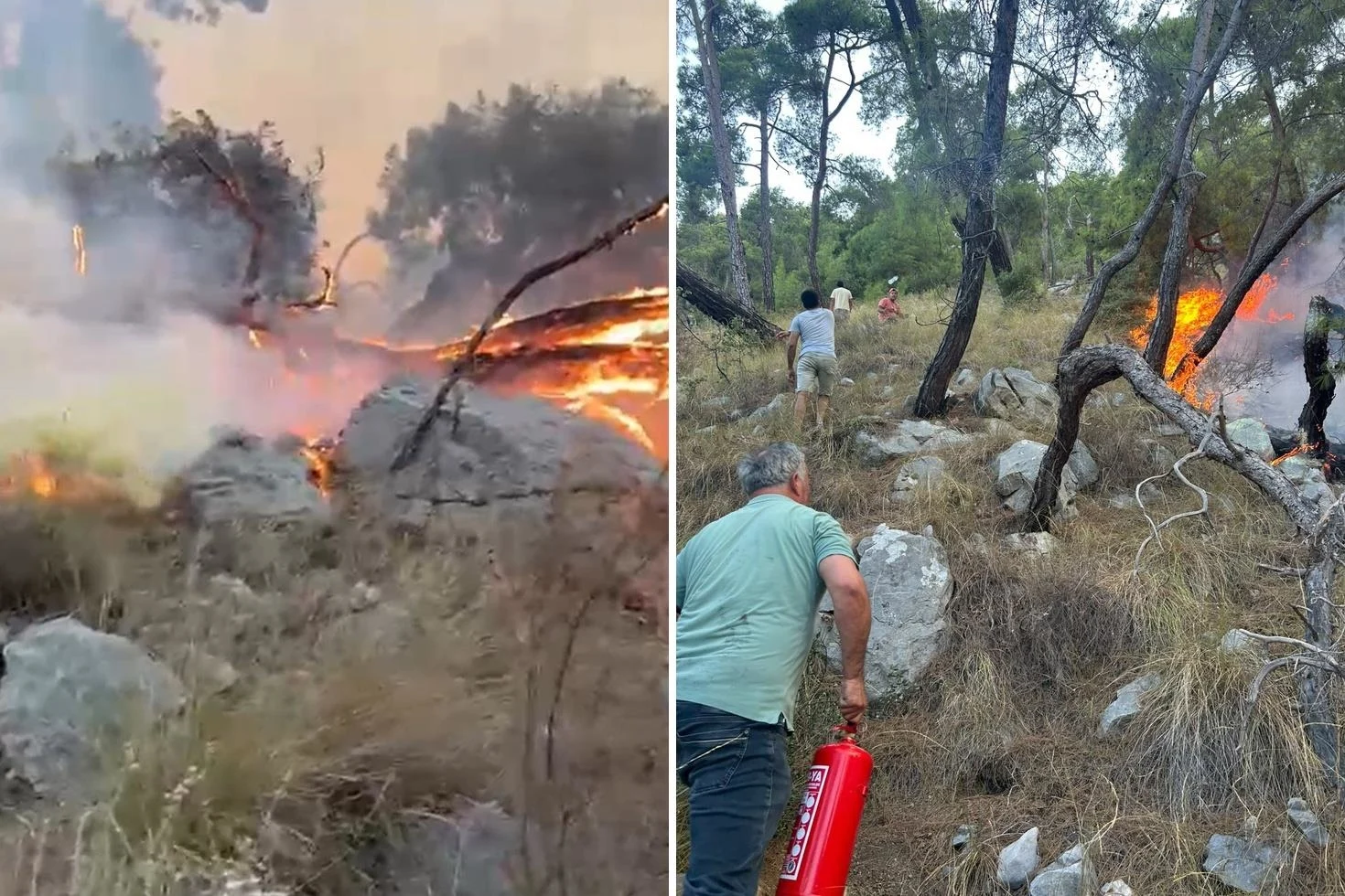 Antalya’da orman yangını müdahalesinde gönüllüler de devrede: Yangın tüpleri eşekle taşındı