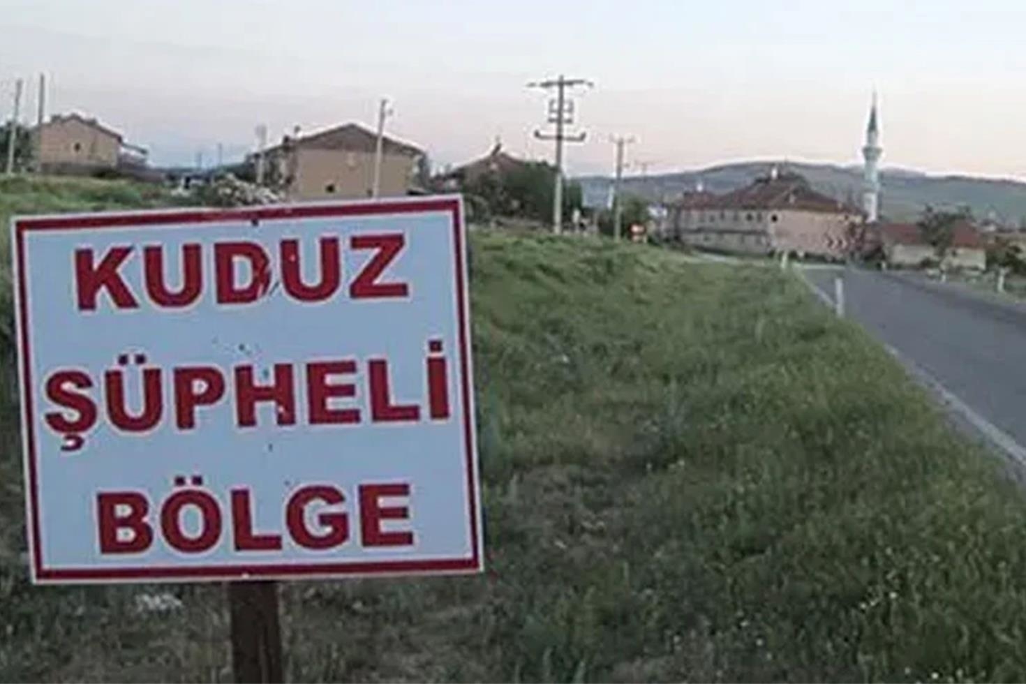 Ardahan’da kuduz vakası nedeniyle bir bölge karantinaya alındı