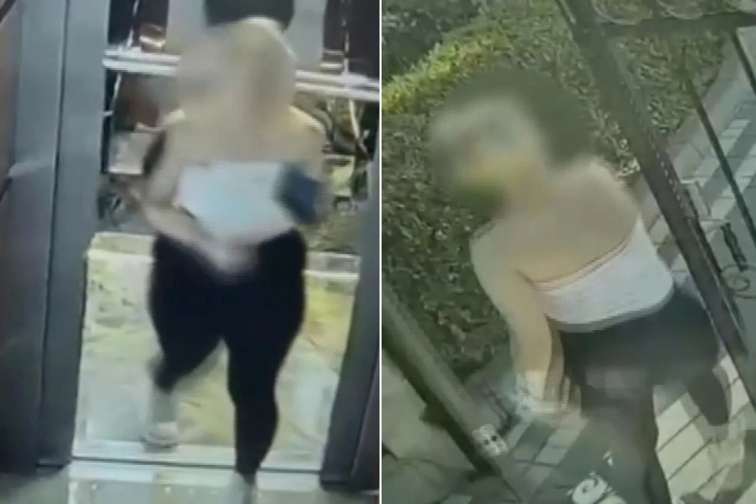 “Balkız” tuzağı! Kameralar tüm rezilliği kaydetti