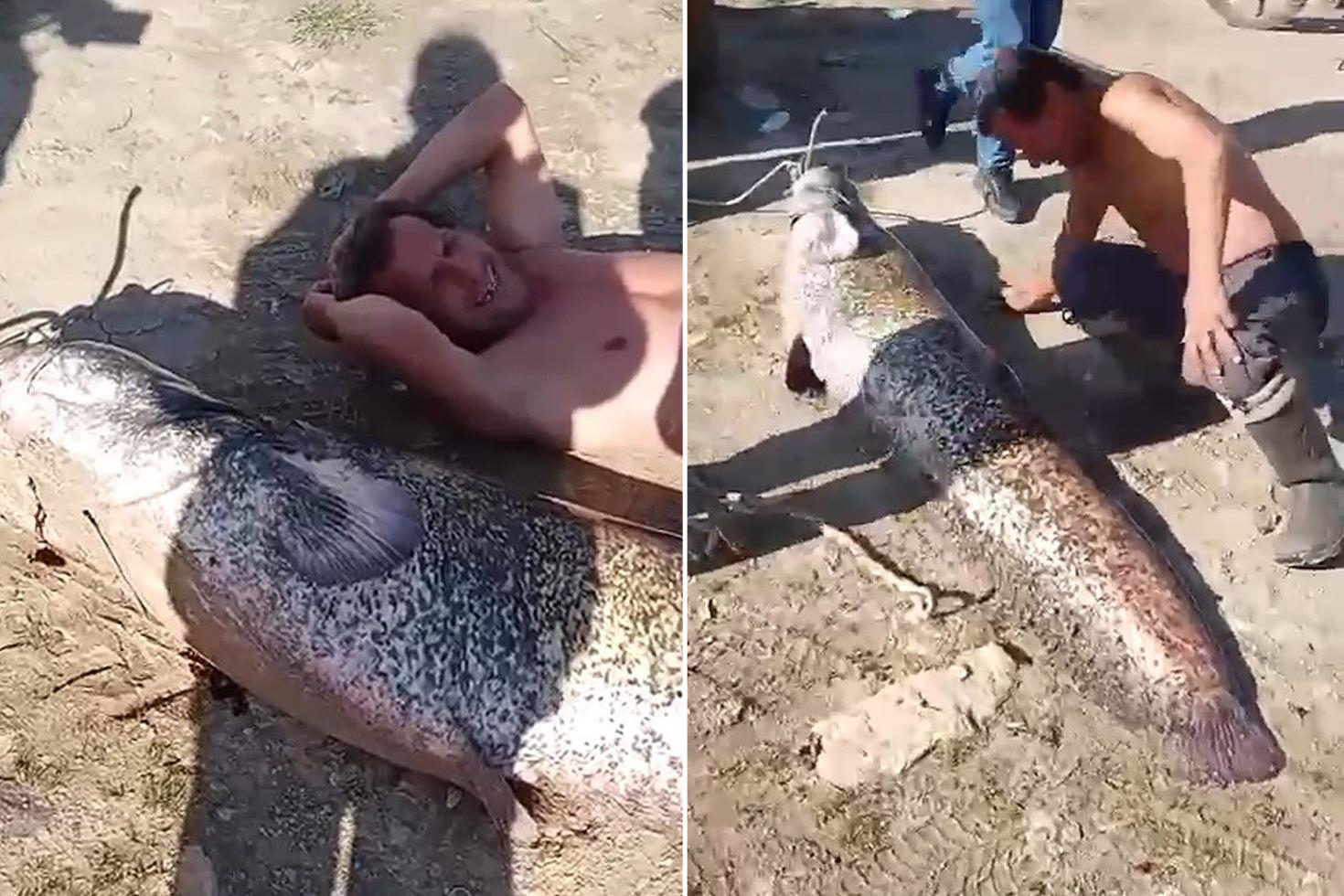 Oltaya 78 kiloluk dev balık takıldı! Yanına yatınca boy farkına şoke oldu