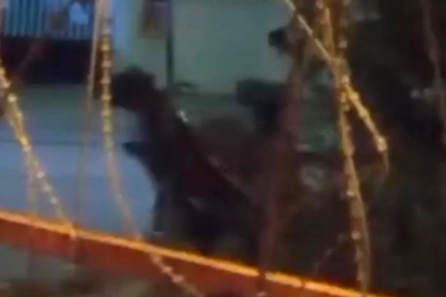 Dakikalarca Siddet Uyguladi Bagrislarini Duyan Dayanamadi 20150242 39 Jpg