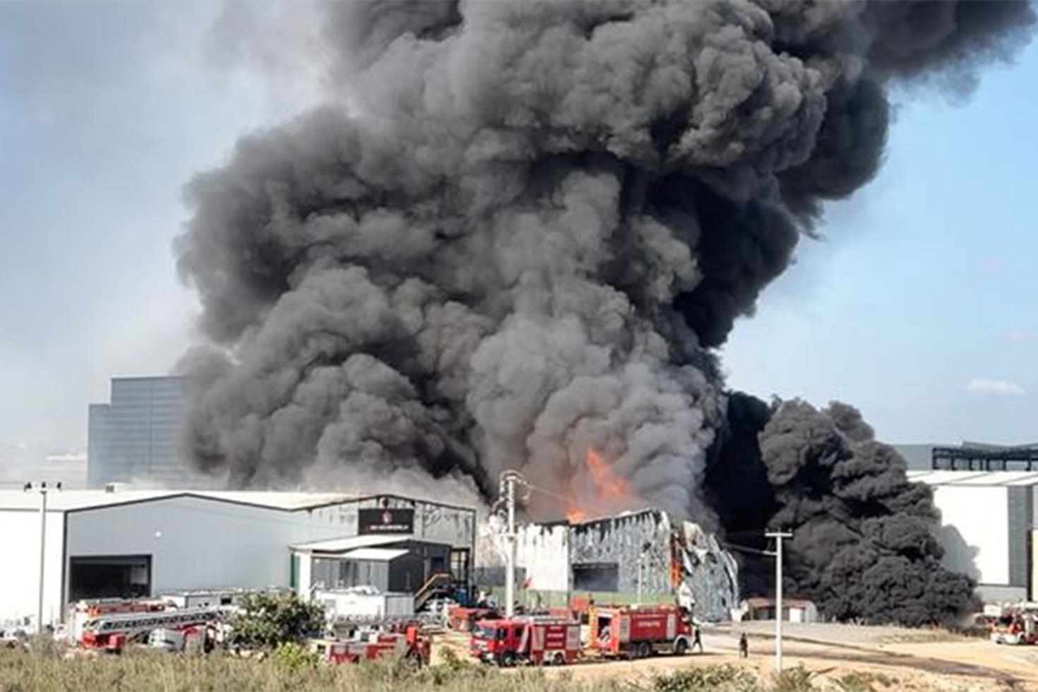 Kocaeli’de kimya fabrikasında yangın: 2 işçi yaralandı, 2 at telef oldu