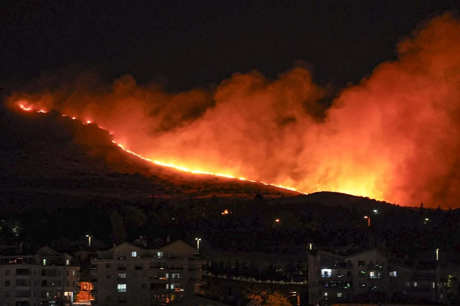 Ankara’nın Mamak ilçesinde ağaçlık alanda yangın