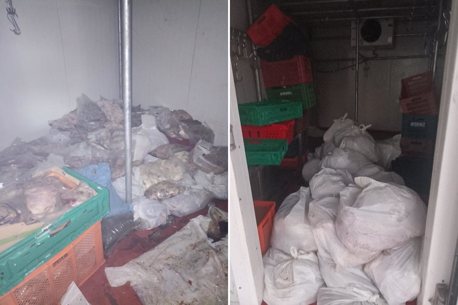 Bodrum’da kötü koku ihbarı ekipleri harekete geçirdi: 400 kilo bozuk ete el konuldu