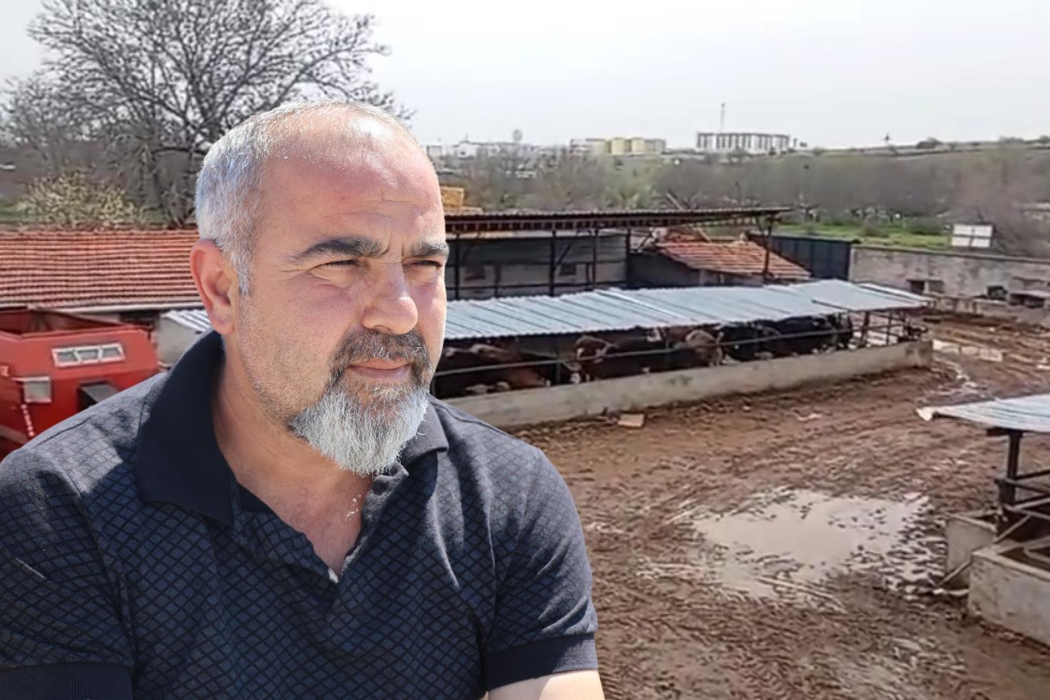 Böyle komşu olmaz olsun! Hem koyunlarını çaldı hem aramasına yardım etti