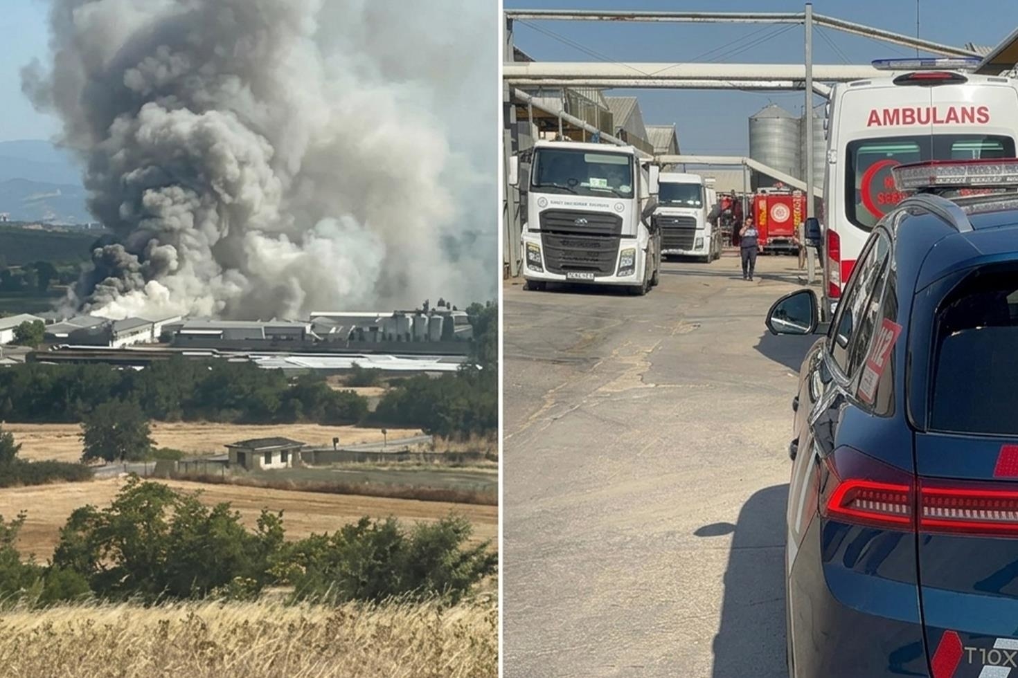 Mudanya’da tavuk çiftliğinde yangın: 12 bin tavuk telef oldu