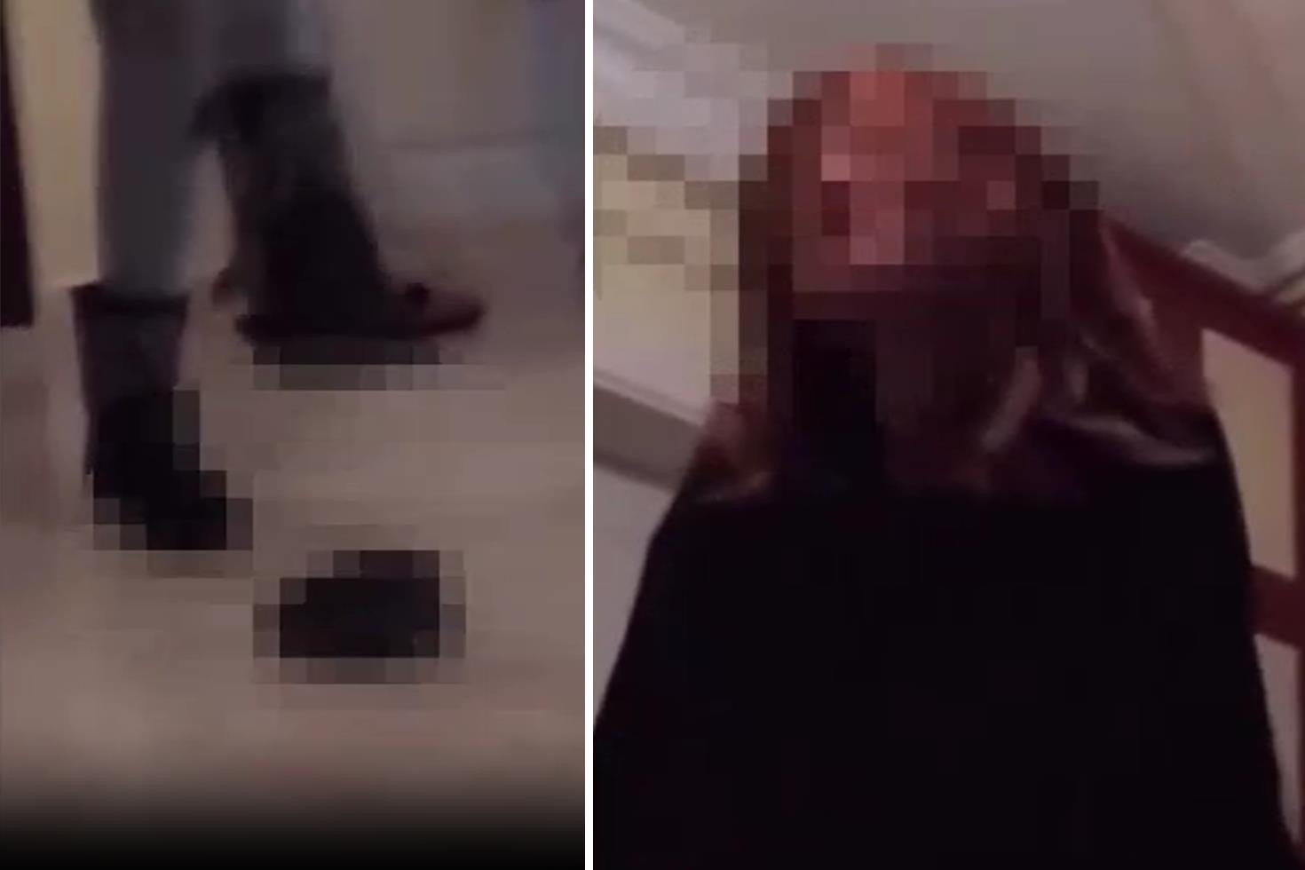 İnfial yaratan görüntüler! Kaplumbağayı ezerek öldüren kadın serbest bırakıldı