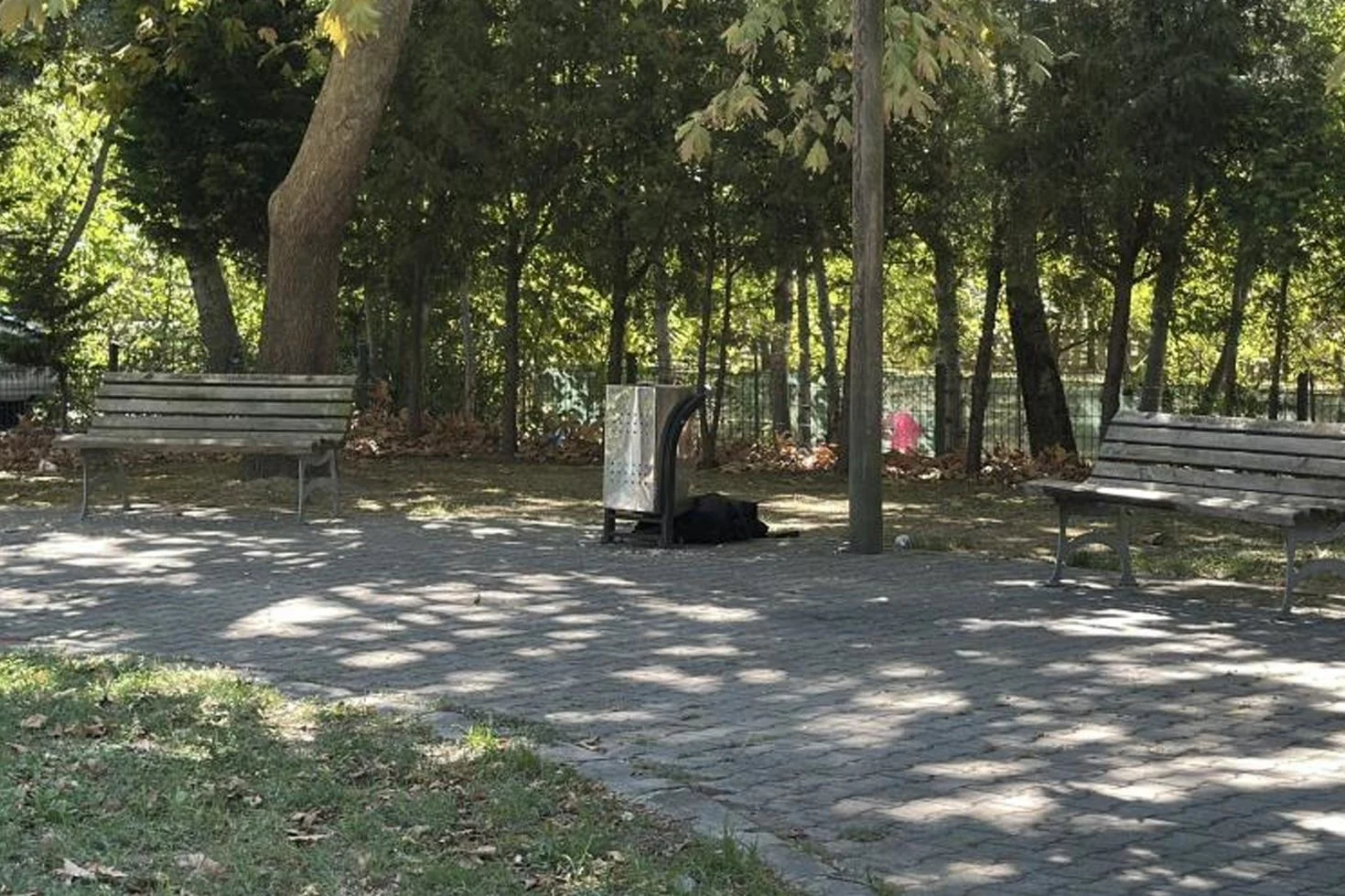 Cami Onunde Esrarengiz Olum 20218845 87 Jpg