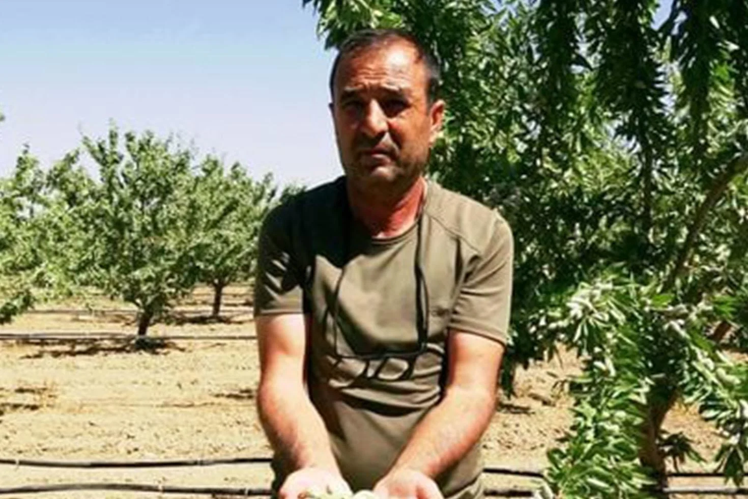 Kayseri’de 16 yıl önce merak edip başladı! Şimdi 20 bin ağacın sahibi