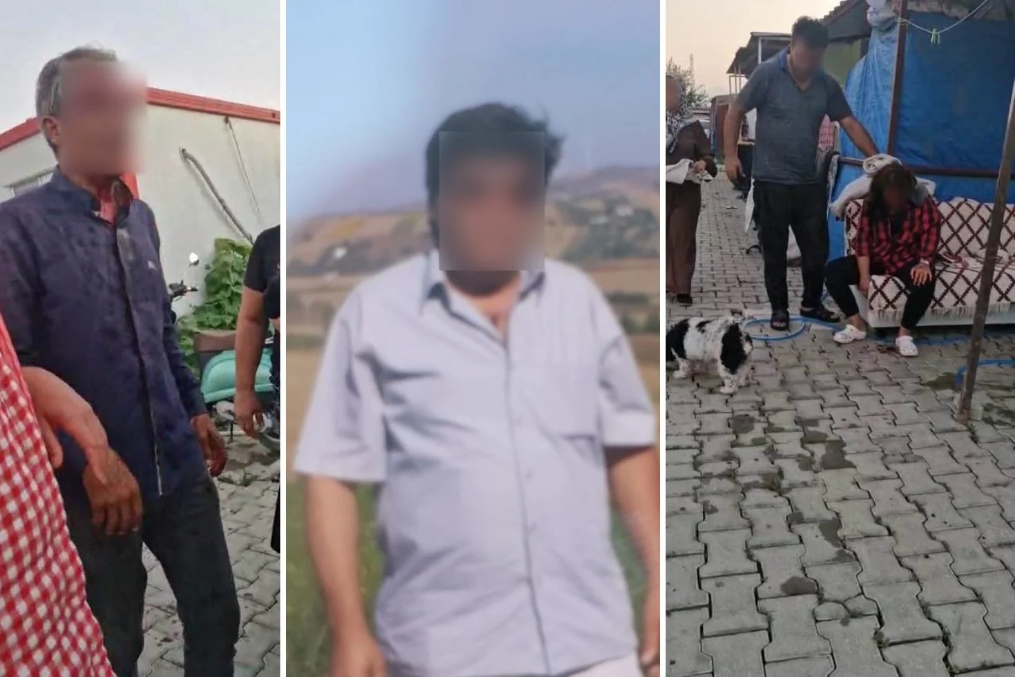 Palali Sarhos Hak Ettigini Buldu Ortaligi Kana Bulamisti 20220506 58 Jpg