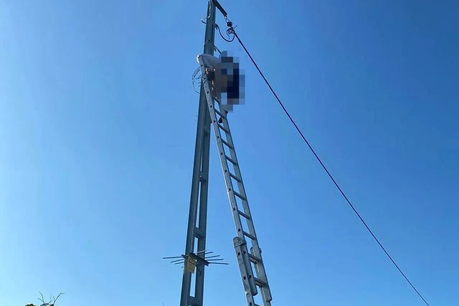 Tamir için direğe çıktı! Elektrik akımına kapılarak hayatını kaybetti