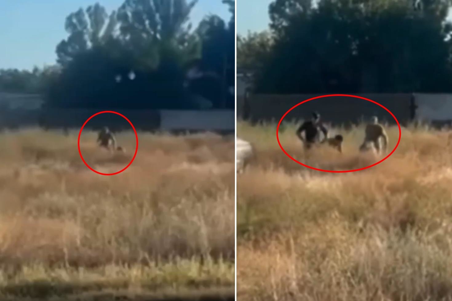 Cepheye asker arayışı bu noktaya geldi! Tarlada yakalayıp götürdüler