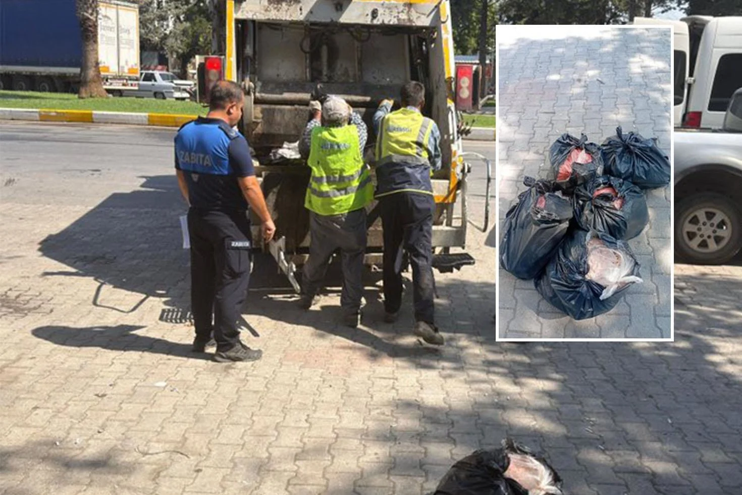 Yakalanmasa Vatandasa Yedireceklerdi Ekipler Gozlerine Inanamadi 20206376 98 Jpg